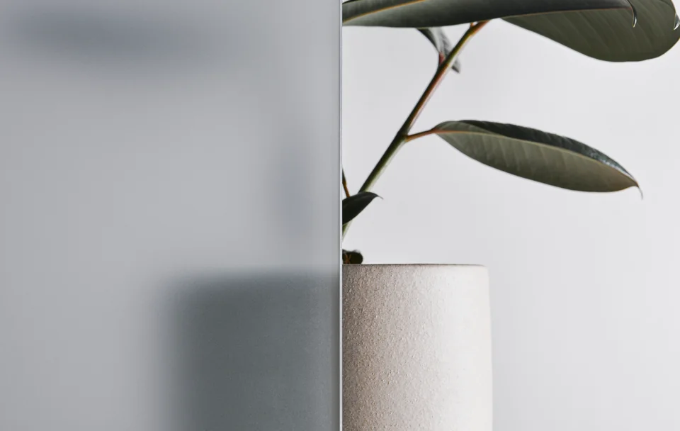 A frosted glass panel softens the view of a plant behind it.